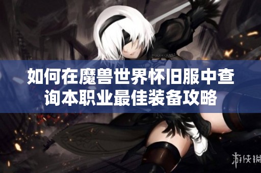 如何在魔兽世界怀旧服中查询本职业最佳装备攻略