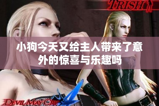 小狗今天又给主人带来了意外的惊喜与乐趣吗