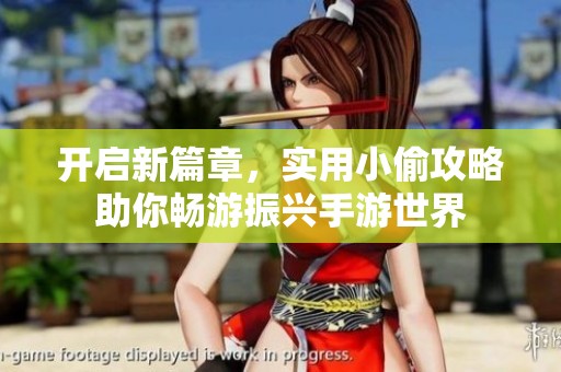 开启新篇章，实用小偷攻略助你畅游振兴手游世界