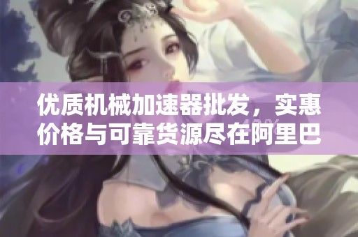 优质机械加速器批发，实惠价格与可靠货源尽在阿里巴巴