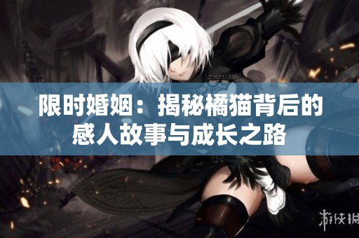 限时婚姻：揭秘橘猫背后的感人故事与成长之路