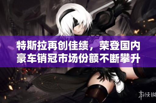 特斯拉再创佳绩，荣登国内豪车销冠市场份额不断攀升