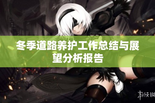 冬季道路养护工作总结与展望分析报告