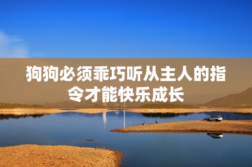 狗狗必须乖巧听从主人的指令才能快乐成长