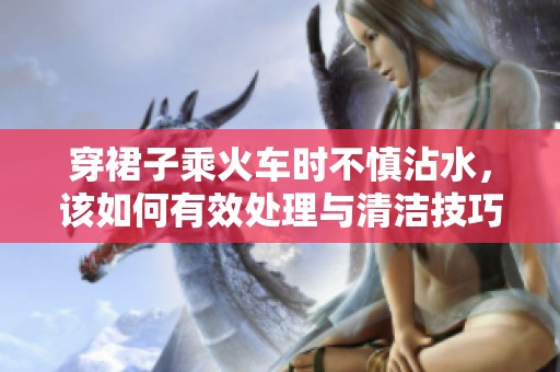 穿裙子乘火车时不慎沾水，该如何有效处理与清洁技巧