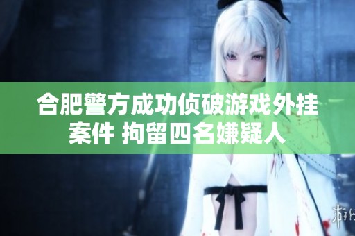 合肥警方成功侦破游戏外挂案件 拘留四名嫌疑人
