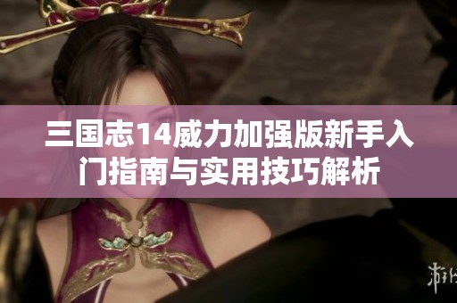 三国志14威力加强版新手入门指南与实用技巧解析