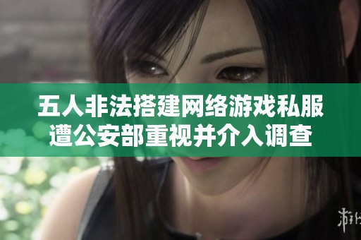五人非法搭建网络游戏私服遭公安部重视并介入调查