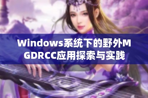 Windows系统下的野外MGDRCC应用探索与实践