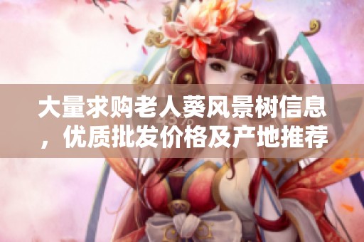 大量求购老人葵风景树信息，优质批发价格及产地推荐