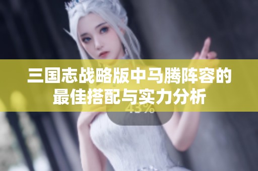 三国志战略版中马腾阵容的最佳搭配与实力分析