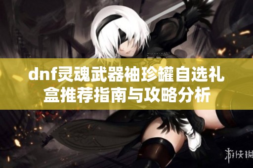 dnf灵魂武器袖珍罐自选礼盒推荐指南与攻略分析