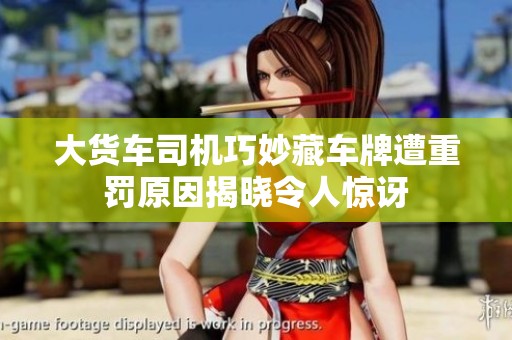 大货车司机巧妙藏车牌遭重罚原因揭晓令人惊讶