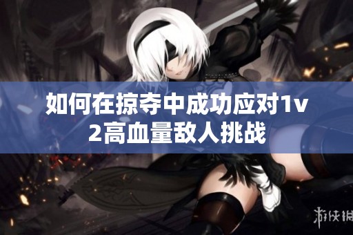 如何在掠夺中成功应对1v2高血量敌人挑战