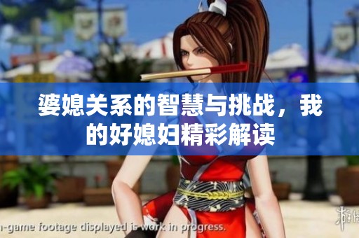 婆媳关系的智慧与挑战，我的好媳妇精彩解读