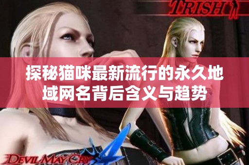 探秘猫咪最新流行的永久地域网名背后含义与趋势