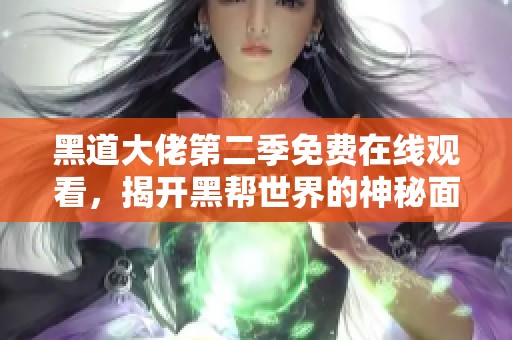 黑道大佬第二季免费在线观看，揭开黑帮世界的神秘面纱