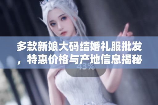 多款新娘大码结婚礼服批发，特惠价格与产地信息揭秘