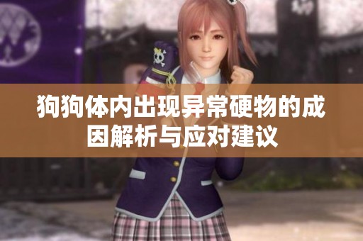 狗狗体内出现异常硬物的成因解析与应对建议