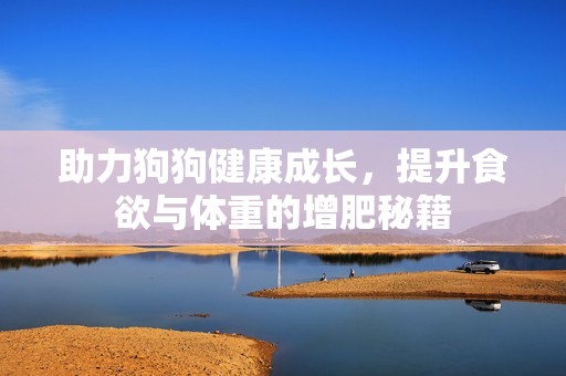 助力狗狗健康成长，提升食欲与体重的增肥秘籍