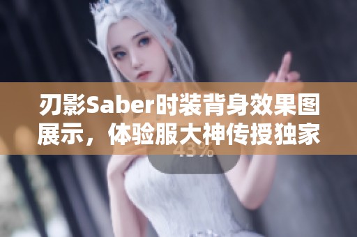 刃影Saber时装背身效果图展示，体验服大神传授独家解析