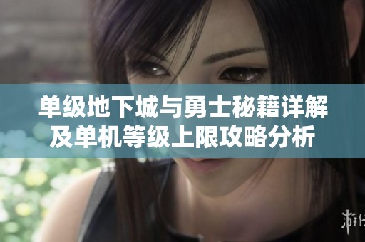 单级地下城与勇士秘籍详解及单机等级上限攻略分析