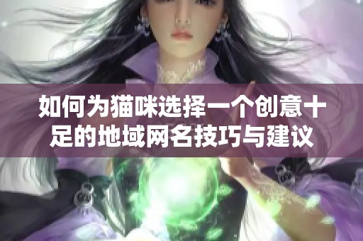 如何为猫咪选择一个创意十足的地域网名技巧与建议