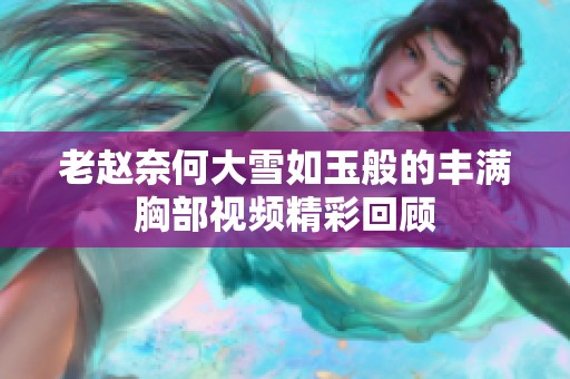 老赵奈何大雪如玉般的丰满胸部视频精彩回顾
