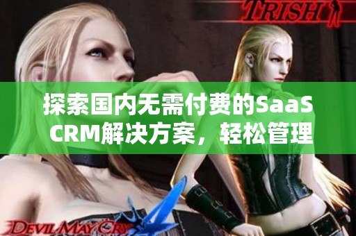 探索国内无需付费的SaaS CRM解决方案，轻松管理客户关系