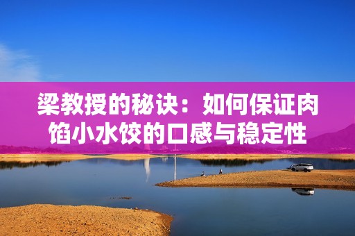梁教授的秘诀：如何保证肉馅小水饺的口感与稳定性