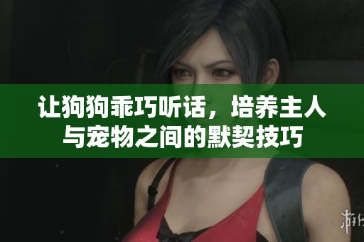 让狗狗乖巧听话，培养主人与宠物之间的默契技巧