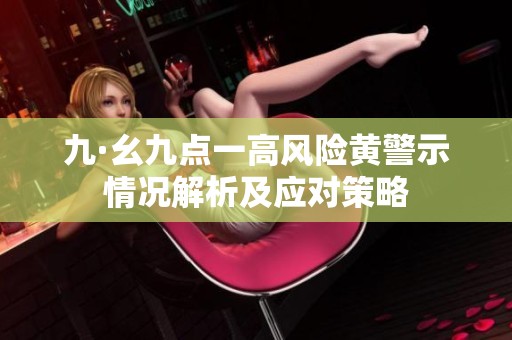 九·幺九点一高风险黄警示情况解析及应对策略