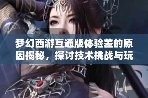 梦幻西游互通版体验差的原因揭秘，探讨技术挑战与玩家困惑