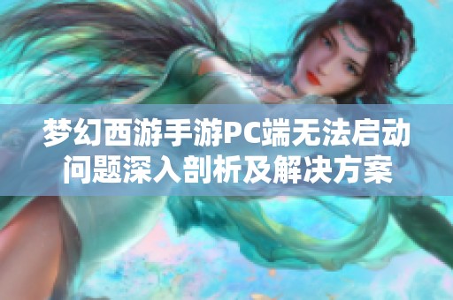 梦幻西游手游PC端无法启动问题深入剖析及解决方案