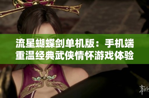流星蝴蝶剑单机版：手机端重温经典武侠情怀游戏体验