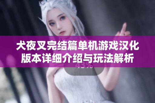 犬夜叉完结篇单机游戏汉化版本详细介绍与玩法解析