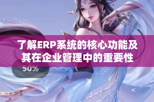 了解ERP系统的核心功能及其在企业管理中的重要性