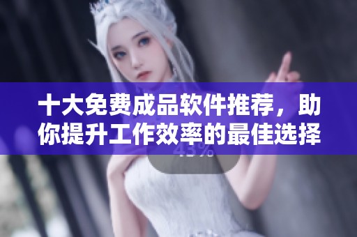 十大免费成品软件推荐，助你提升工作效率的最佳选择