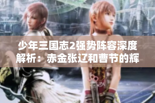 少年三国志2强势阵容深度解析：赤金张辽和曹节的辉煌搭配