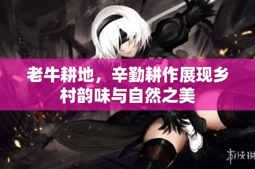 老牛耕地，辛勤耕作展现乡村韵味与自然之美