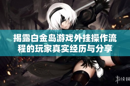 揭露白金岛游戏外挂操作流程的玩家真实经历与分享