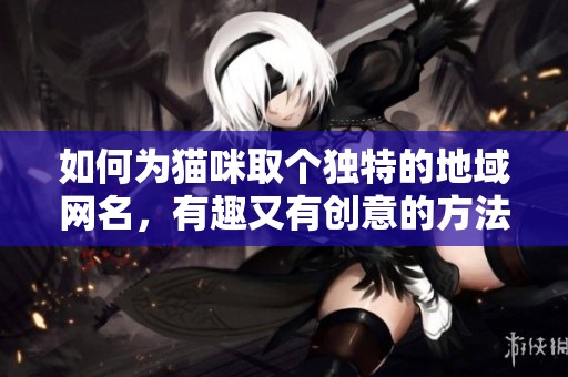 如何为猫咪取个独特的地域网名，有趣又有创意的方法分享