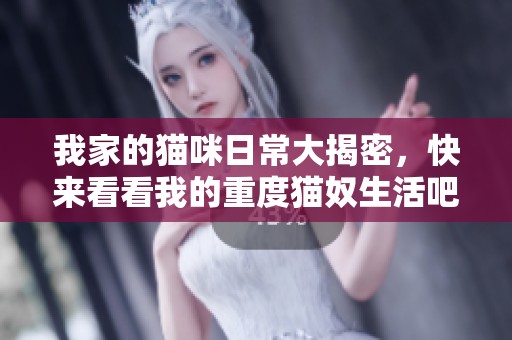 我家的猫咪日常大揭密，快来看看我的重度猫奴生活吧