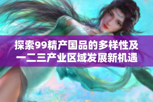 探索99精产国品的多样性及一二三产业区域发展新机遇
