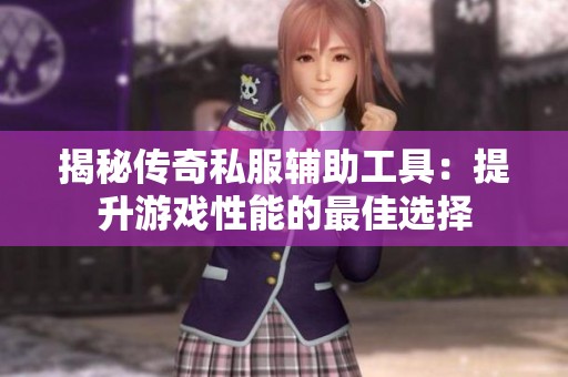 揭秘传奇私服辅助工具：提升游戏性能的最佳选择