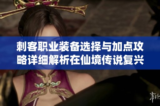 刺客职业装备选择与加点攻略详细解析在仙境传说复兴服