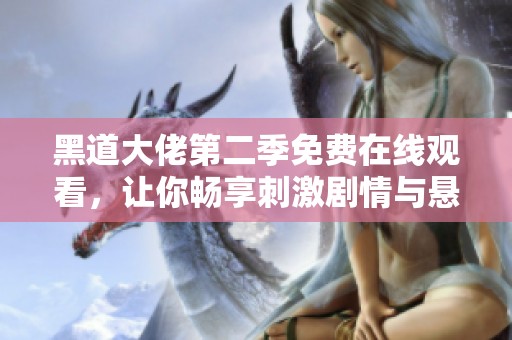 黑道大佬第二季免费在线观看，让你畅享刺激剧情与悬疑推理