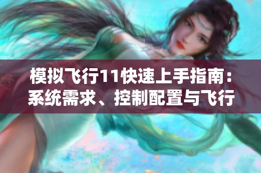 模拟飞行11快速上手指南：系统需求、控制配置与飞行技巧详解