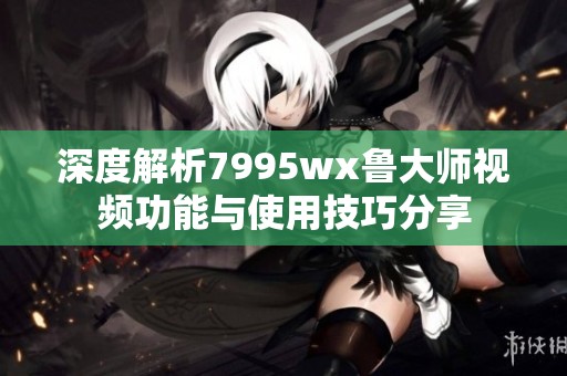 深度解析7995wx鲁大师视频功能与使用技巧分享