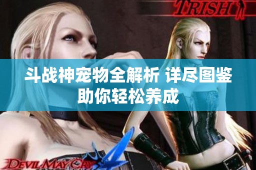 斗战神宠物全解析 详尽图鉴助你轻松养成